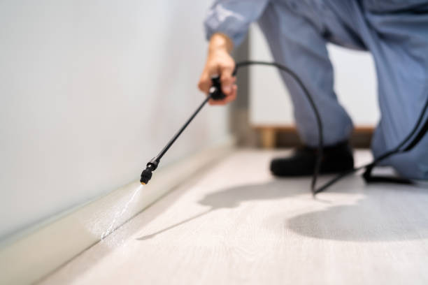 Licensed Rodent Control service in Asbury Park, NJ - Nex Pest Control