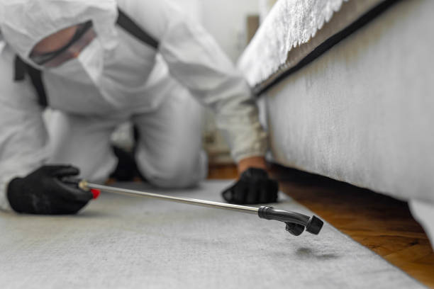 Professional Rodent Control technician working in Asbury Park, NJ