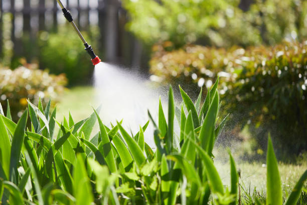 24/7 Emergency Rodent Control experts in Asbury Park, NJ