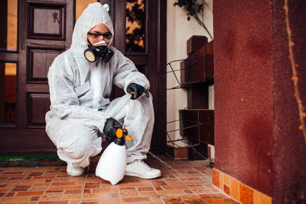 Reliable Rodent Control contractor in Asbury Park, NJ by Nex Pest Control