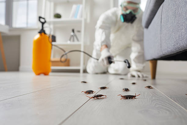 Trusted Fumigation Services service in Asbury Park, NJ - Nex Pest Control