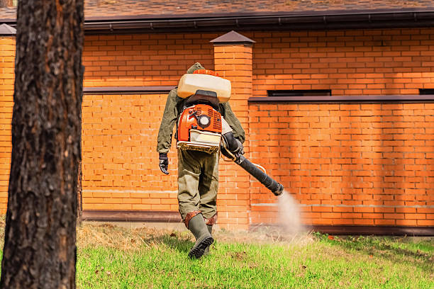 Trusted Emergency Pest Control service in Asbury Park, NJ - Nex Pest Control